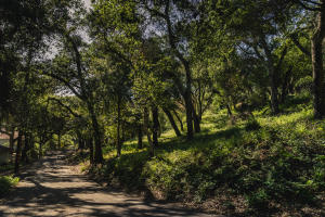 290-292 Rosario Park, Santa Barbara
