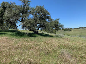 6767 Long Canyon Road, Santa Maria
