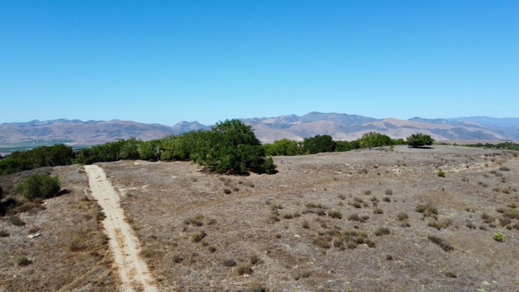 Valley oaks and the San Rafael Mountains from Parcel 03