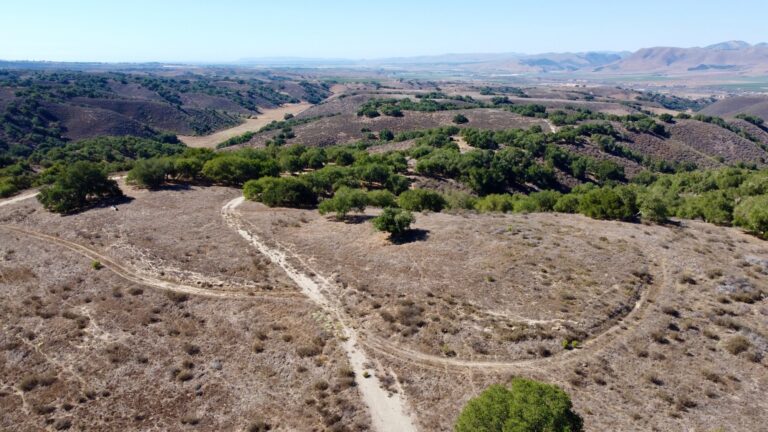 Panoramic view over the foothills north of Los Alamos