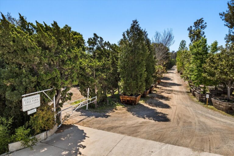 Tree-lined farm road at Berylwood