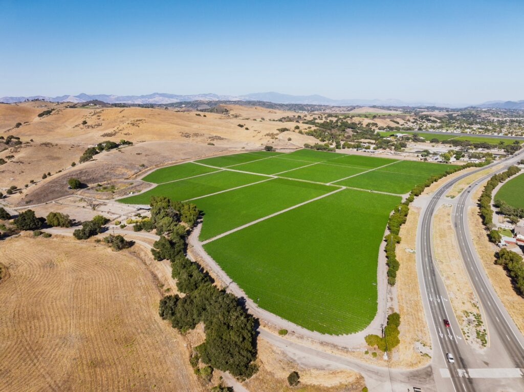 Farmland along Highway 246 and the Santa Ynez River
