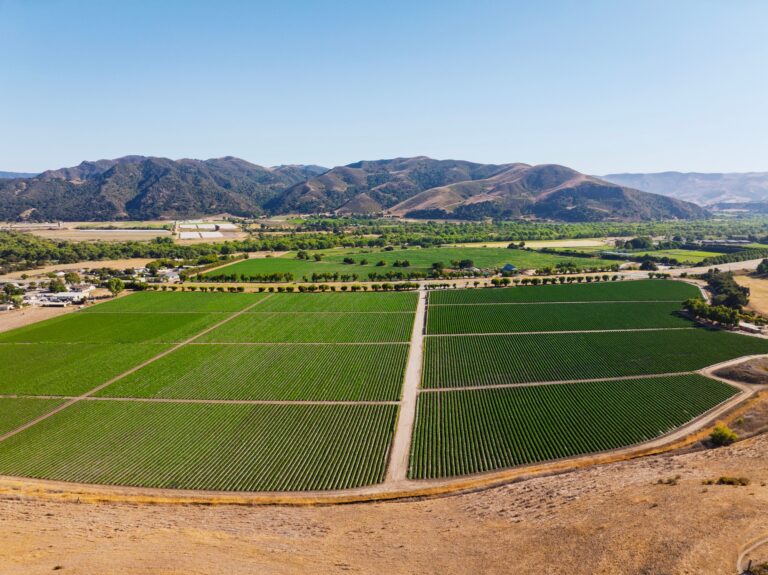 Rancho Cañada de la Laguna, 1050 W Hwy 246, Buellton (photo 6)