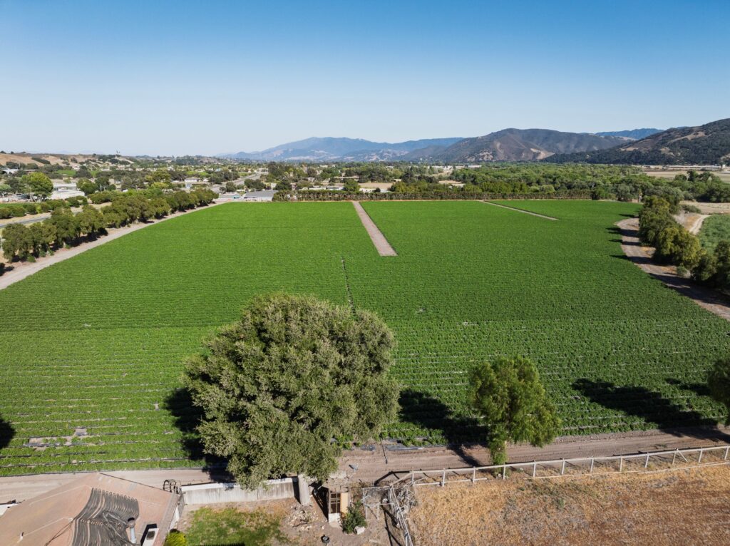 Level fields along the Santa Ynez River