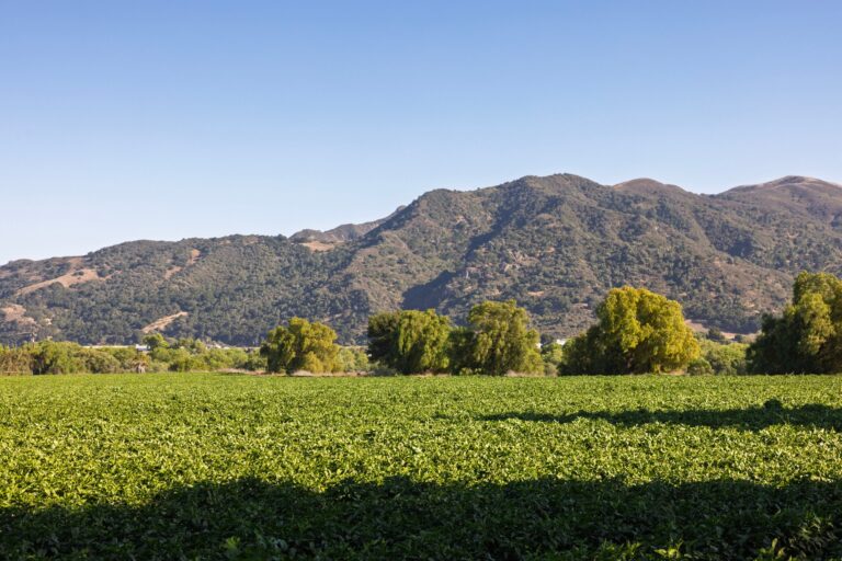 Rancho Cañada de la Laguna, 1050 W Hwy 246, Buellton (photo 27)