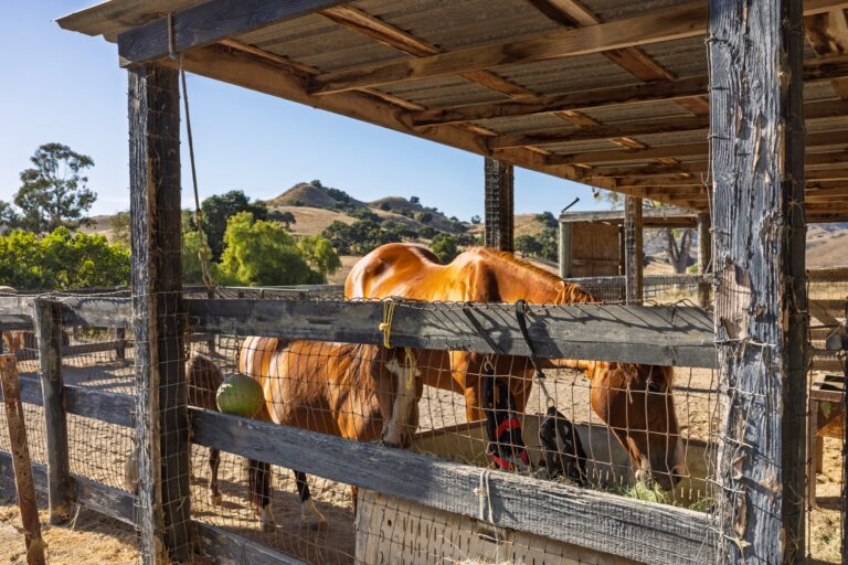 Rancho Cañada de la Laguna, 1050 W Hwy 246, Buellton (photo 29)