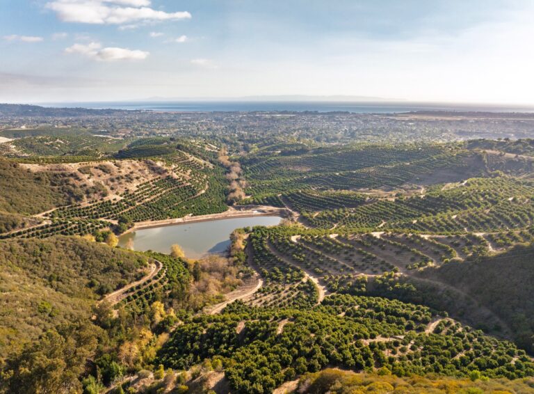 Aerial view of the avocado orchards and Dennis Reservoir at 1500 Camino Meleno, with the Pacific Ocean beyond