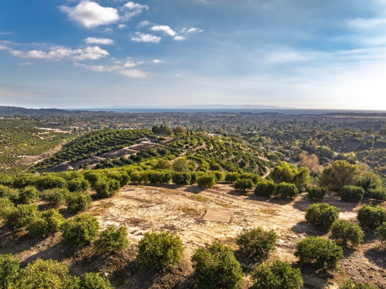Homesite clearing above the orchard looking toward the coast