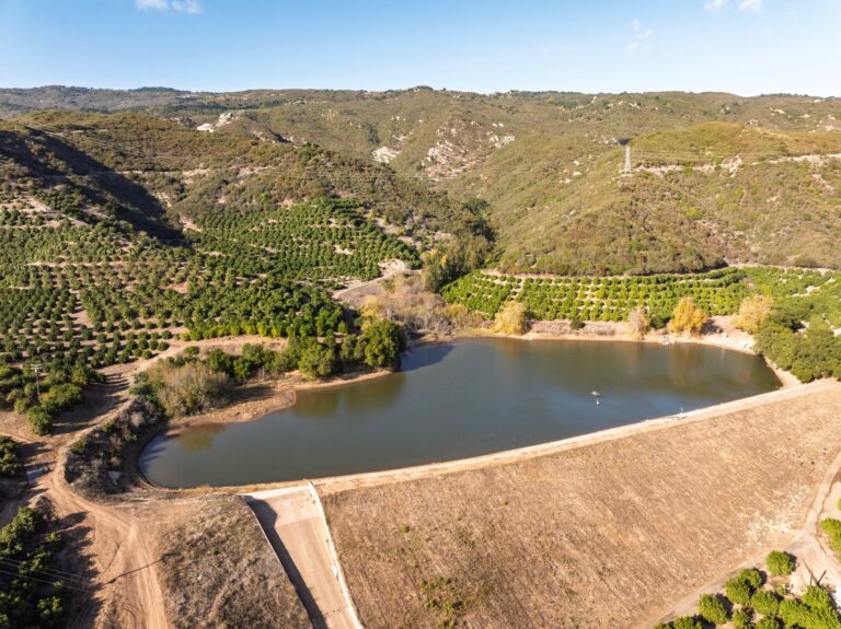 Dennis Reservoir from above, surrounded by avocado orchards