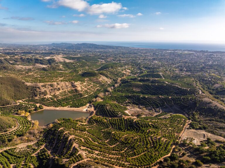 Avocado ranch and foothills looking south to the sea