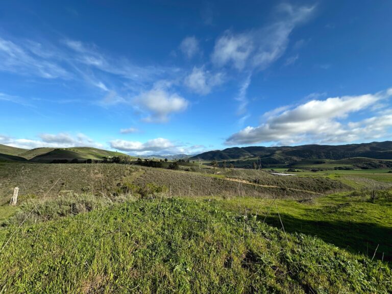 Green hills and open sky across the property