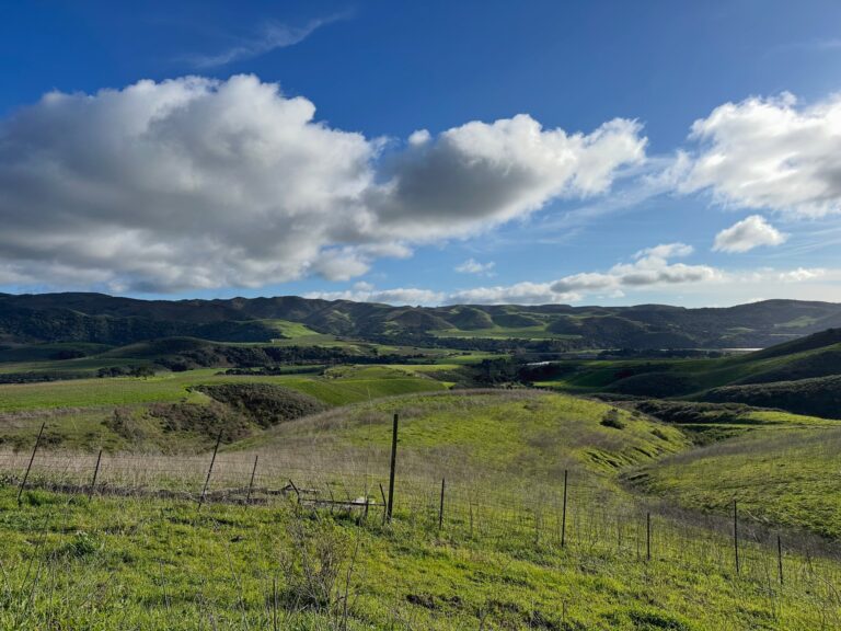 Rolling grassland and distant ridgelines on the property