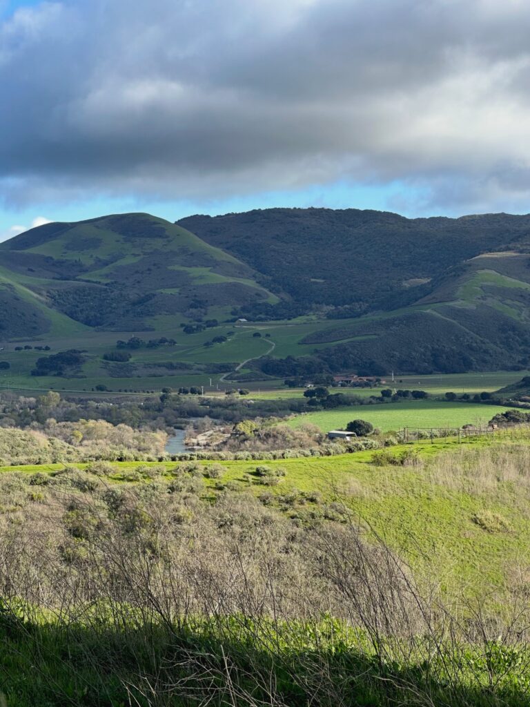 Green hillsides and valley in the Sta. Rita Hills