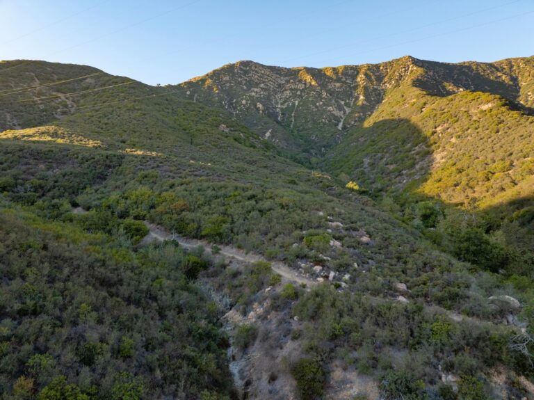 Natural hillsides of the property under the mountains
