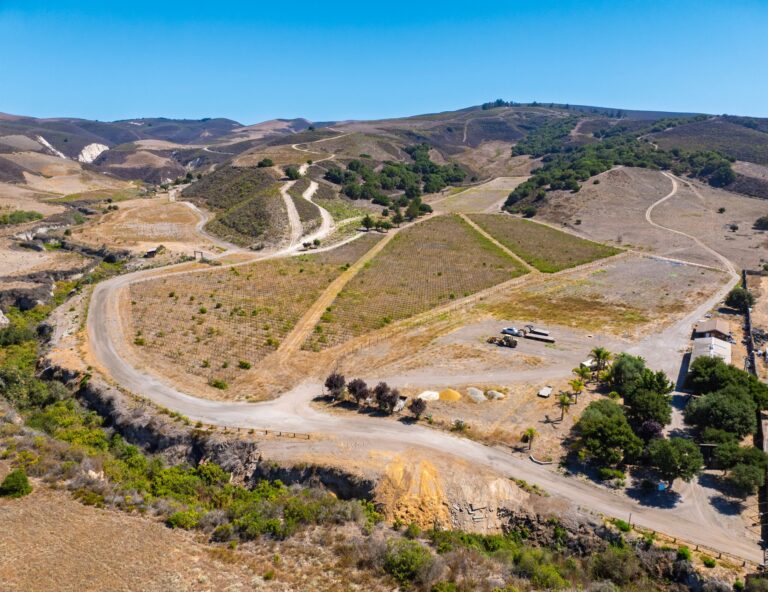 Gypsy Canyon Ranch, Sta. Rita Hills (photo 10)