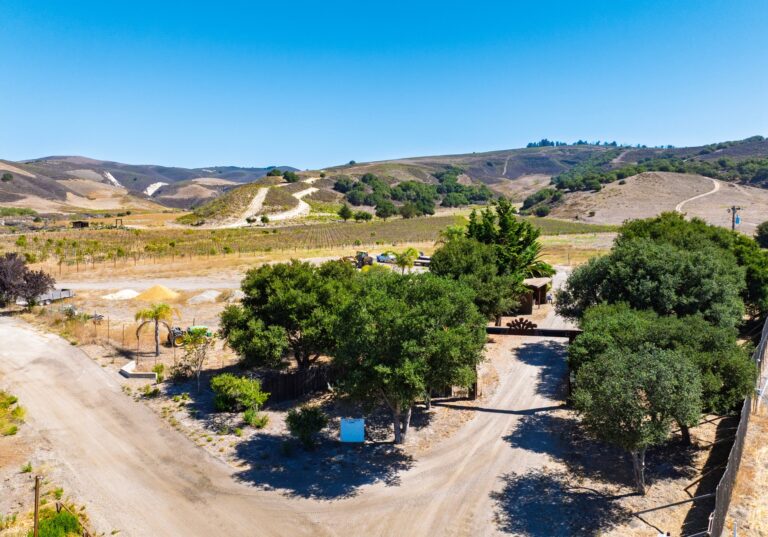 Gypsy Canyon Ranch, Sta. Rita Hills (photo 11)