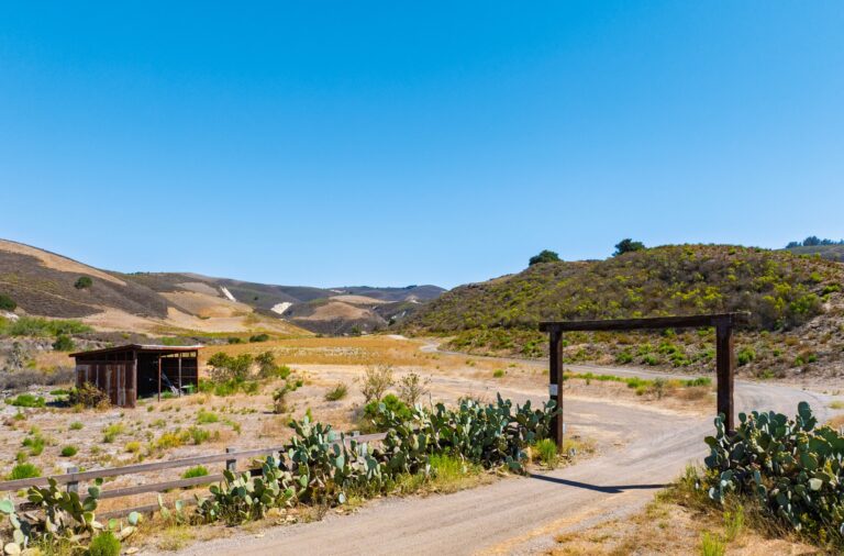 Gypsy Canyon Ranch, Sta. Rita Hills (photo 15)