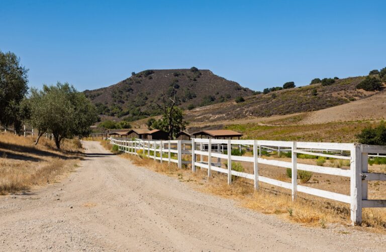 Gypsy Canyon Ranch, Sta. Rita Hills (photo 16)