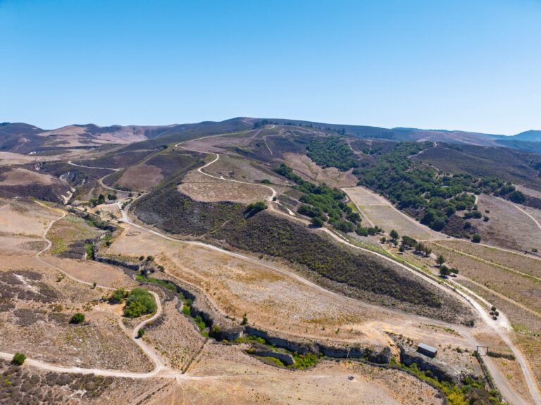 Gypsy Canyon Ranch, Sta. Rita Hills (photo 22)