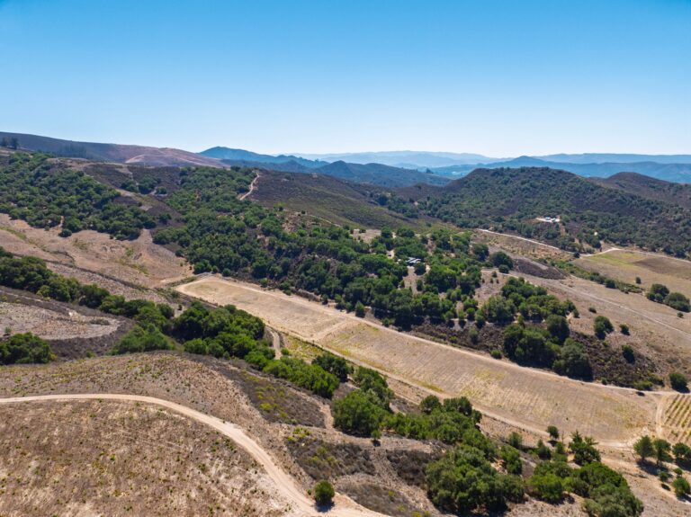 Gypsy Canyon Ranch, Sta. Rita Hills (photo 25)
