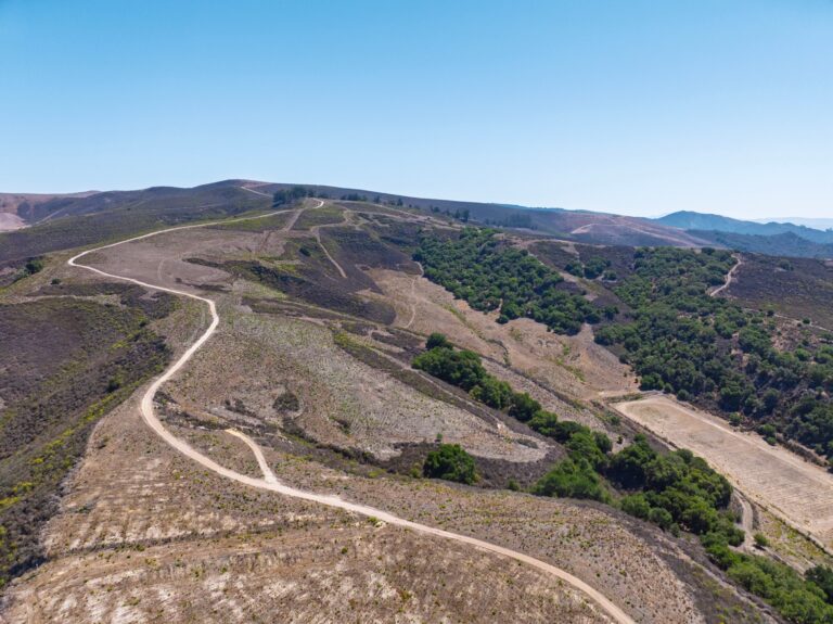 Ranch roads winding through the oak-dotted hills